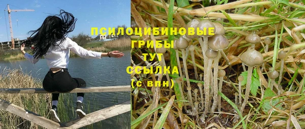 стафф Новокубанск
