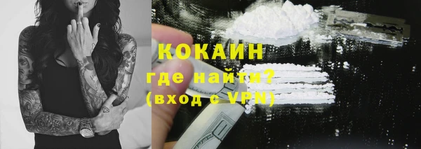 стафф Новокубанск