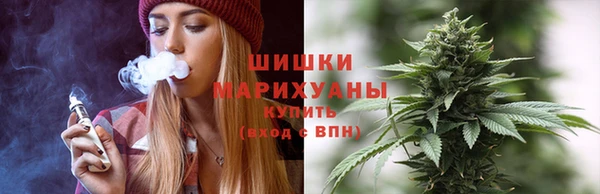 стафф Новокубанск