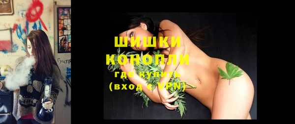 стафф Новокубанск
