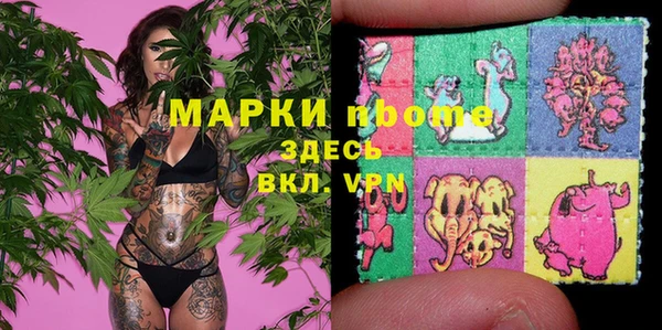 стафф Новокубанск