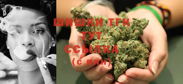 стафф Новокубанск