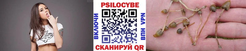 купить   Лиски  Галлюциногенные грибы GOLDEN TEACHER 