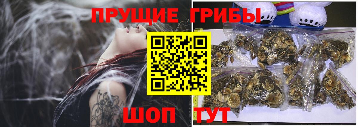 Псилоцибиновые грибы Magic Shrooms Лиски