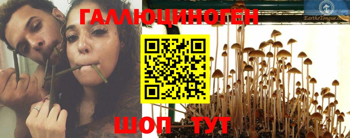 Псилоцибиновые грибы ЛСД  Лиски 